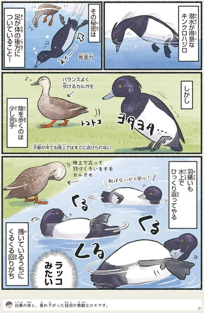 陸を歩くのは少し苦手