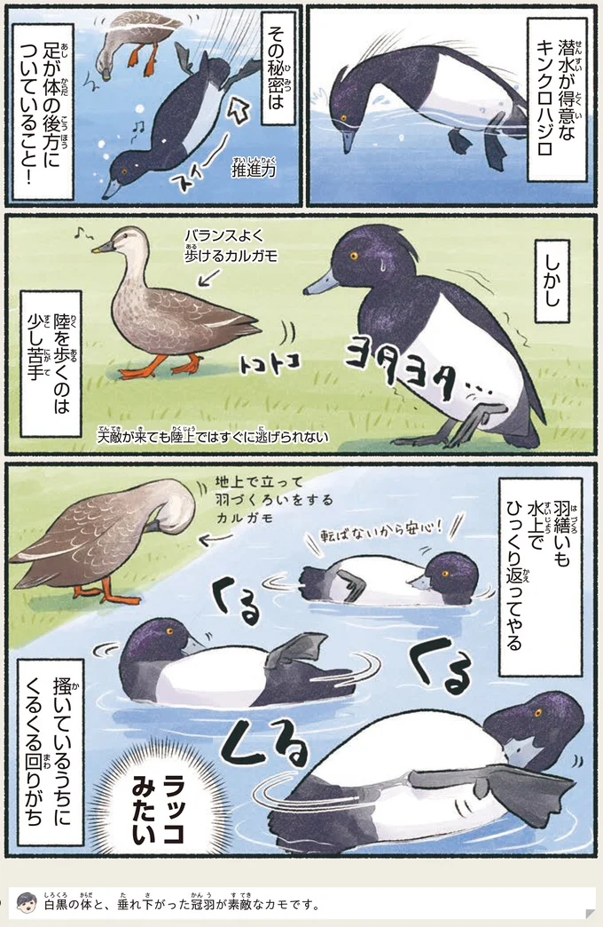 陸を歩くのは少し苦手