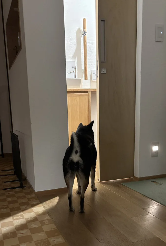 主パパを探してトイレにだってついていっちゃう！▶ごはんを待つときは（⇒次へ）