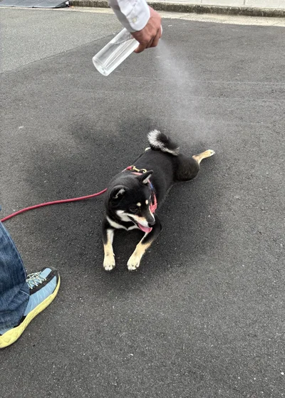 霧吹きで水をかけた拓ちゃんの跡！（笑）▶びっくりするくらいくっきり形がついていて（⇒次へ）