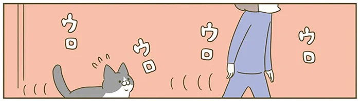 ウロウロ、ウロウロ。飼い主の行動に猫を連れ回してみた結果／うちの猫がまた変なことしてる。5（3）