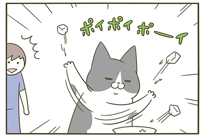 ポイポイポーイ！