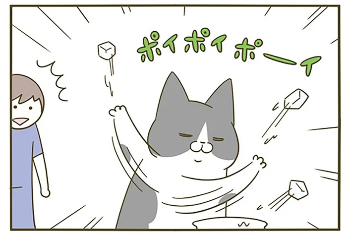 飼い主は気遣ったつもりなんです。猫用の水に氷を入れたところ／うちの猫がまた変なことしてる。5（4）