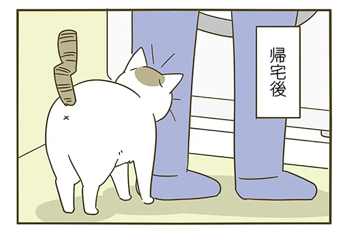 3日ほど離れていたあとのチャージ？ 猫の行動が愛おしすぎる／うちの猫がまた変なことしてる。5（5）