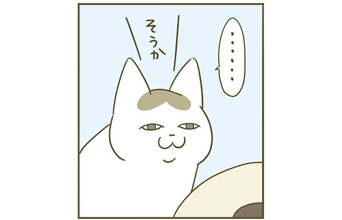 毎日気に入って使っていたおもちゃが壊れた！それを知った猫の反応は／うちの猫がまた変なことしてる。5（8）