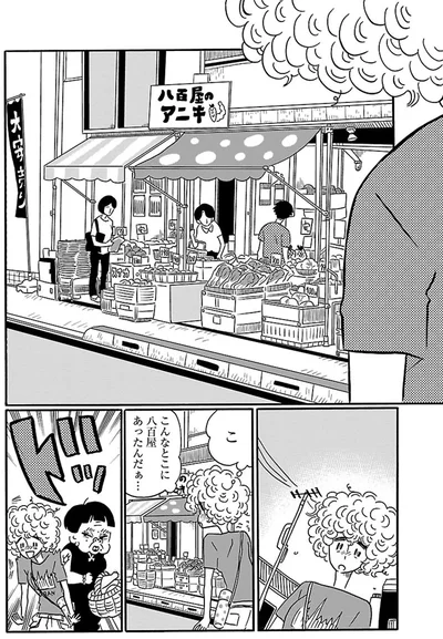 こ、こんなところに八百屋あったんだぁ