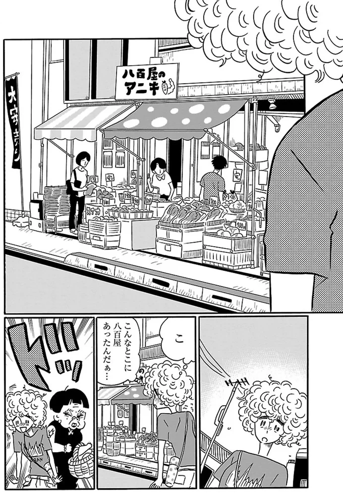 こ、こんなところに八百屋あったんだぁ