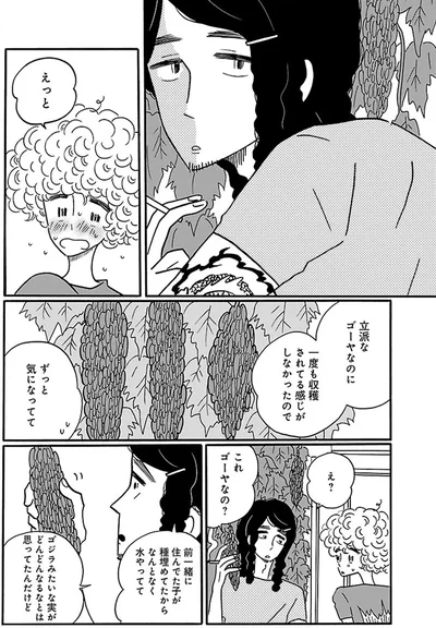 これゴーヤなの？