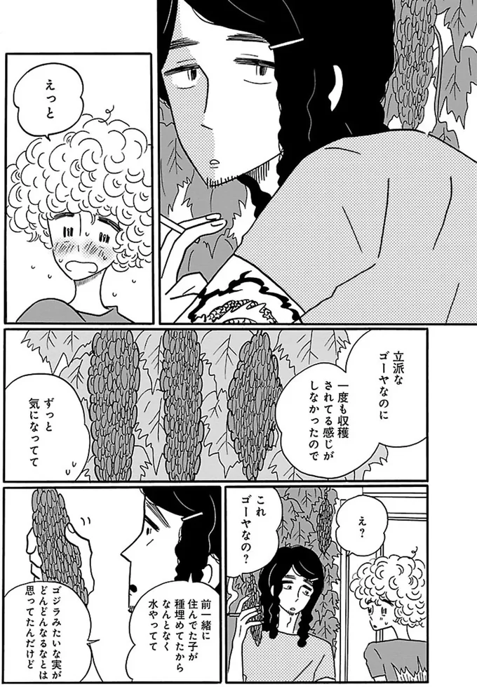 これゴーヤなの？