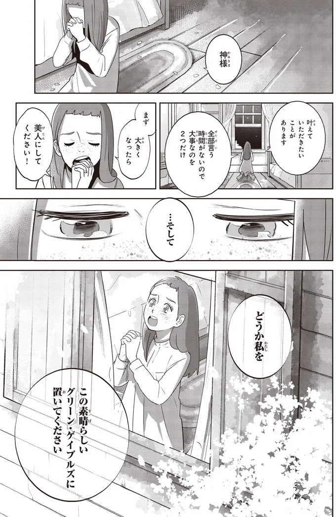 『アン・シャーリー　1』より
