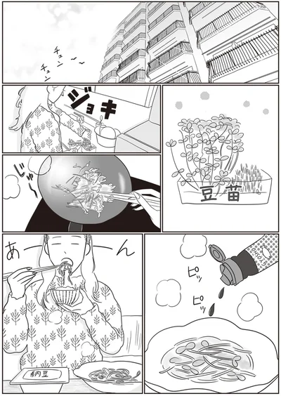 豆苗