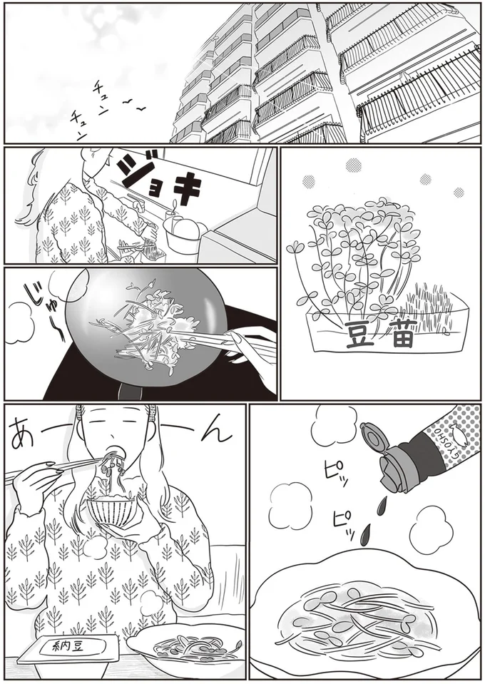 豆苗