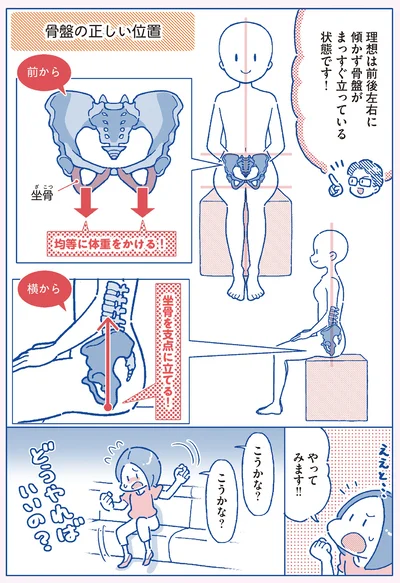 骨盤の正しい位置