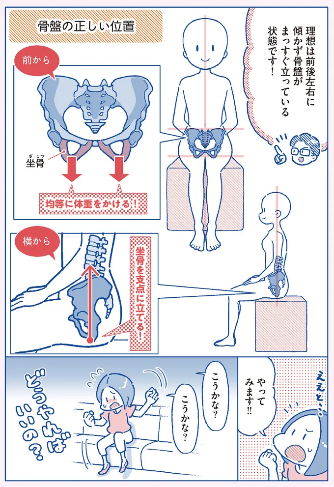 骨盤の正しい位置