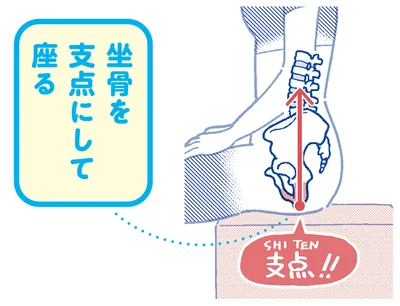 坐骨を支点にして座る