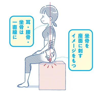 坐骨を座面に刺すイメージをもつ