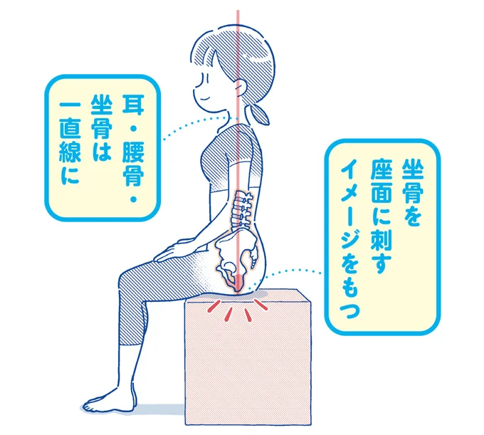 坐骨を座面に刺すイメージをもつ