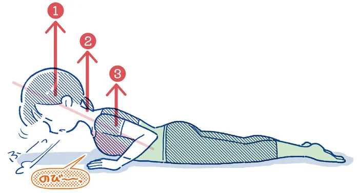 変に力んじゃうときは肩甲骨と腹筋を意識して！ 腰痛を楽にする「胸おこし」／1分腰ゆるめストレッチ（4）