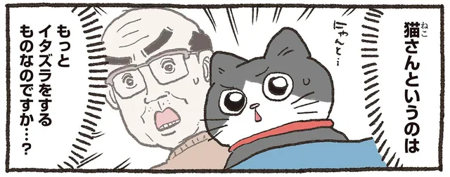 猫はイタズラをする生き物なのですか!? ねこおじが猫らしく振る舞おうと誓った瞬間／ねこに転生したおじさん5（1）