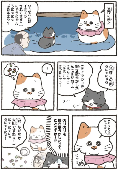 『ねこに転生したおじさん5』より