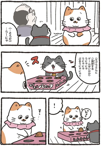 『ねこに転生したおじさん5』より
