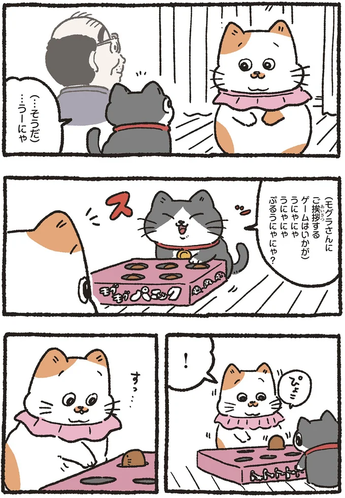 『ねこに転生したおじさん5』より