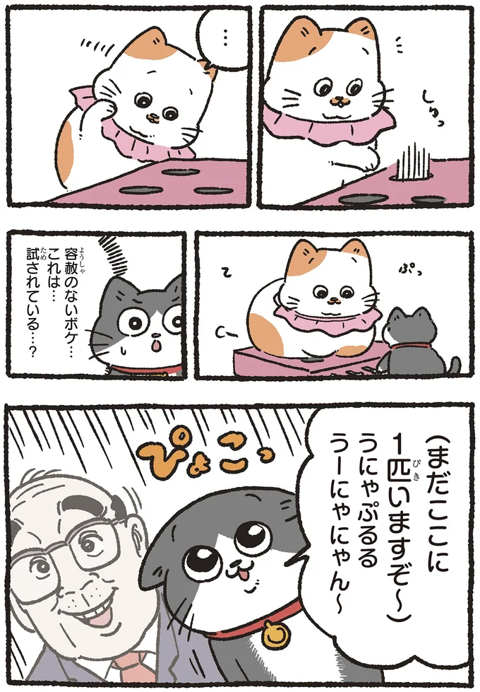 『ねこに転生したおじさん5』より
