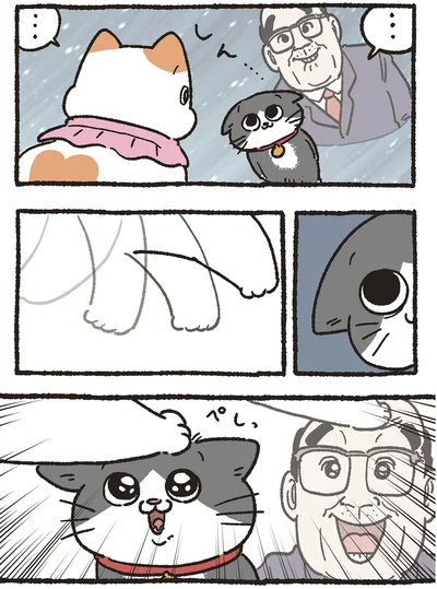 『ねこに転生したおじさん5』より