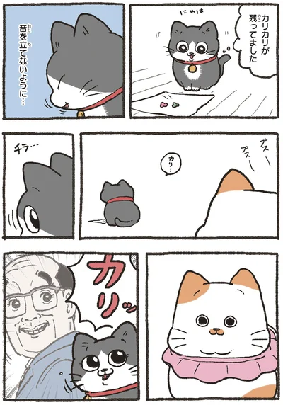 『ねこに転生したおじさん5』より