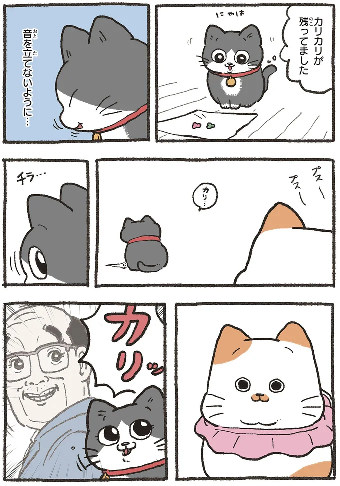 『ねこに転生したおじさん5』より