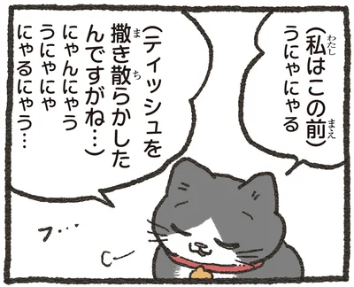 私はこの前ティッシュを撒き散らかしたんですがね…