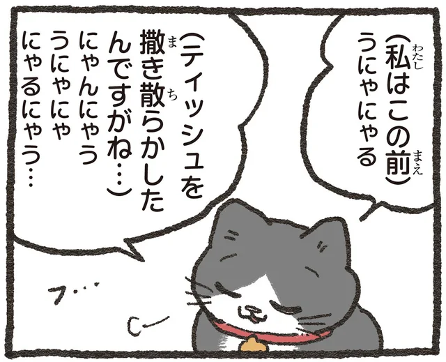 「この前ティッシュを撒き散らかした」とイタズラ自慢。でもお隣の猫の方が一枚上手!?