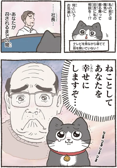 ねことしてあなたを幸せにしますぞ…