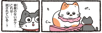 これは…試されている…？
