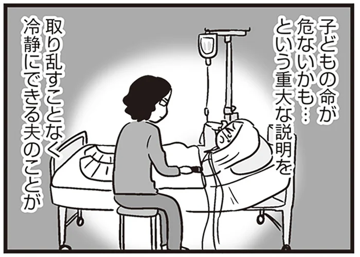 問題山積だった息子の出産。心強く思えた冷静沈着な夫は、虚像だった？／それでも家族を続けますか？（4）