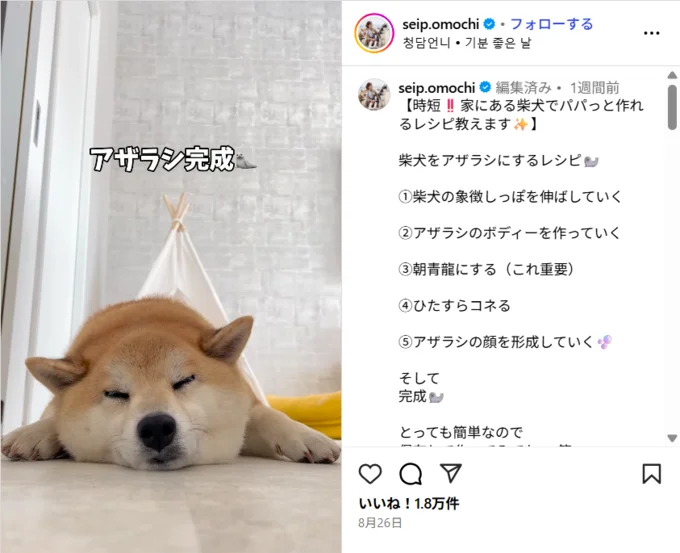 柴犬をアザラシにするレシピが大反響▶トロトロになる柴犬に癒される人続出(⇒次へ)