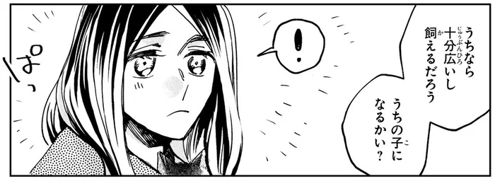 子猫を拾ったお嬢様。飼うことになり、付けた名前はまさかの…!?／漫画 京佳お嬢様と奥田執事（5）
