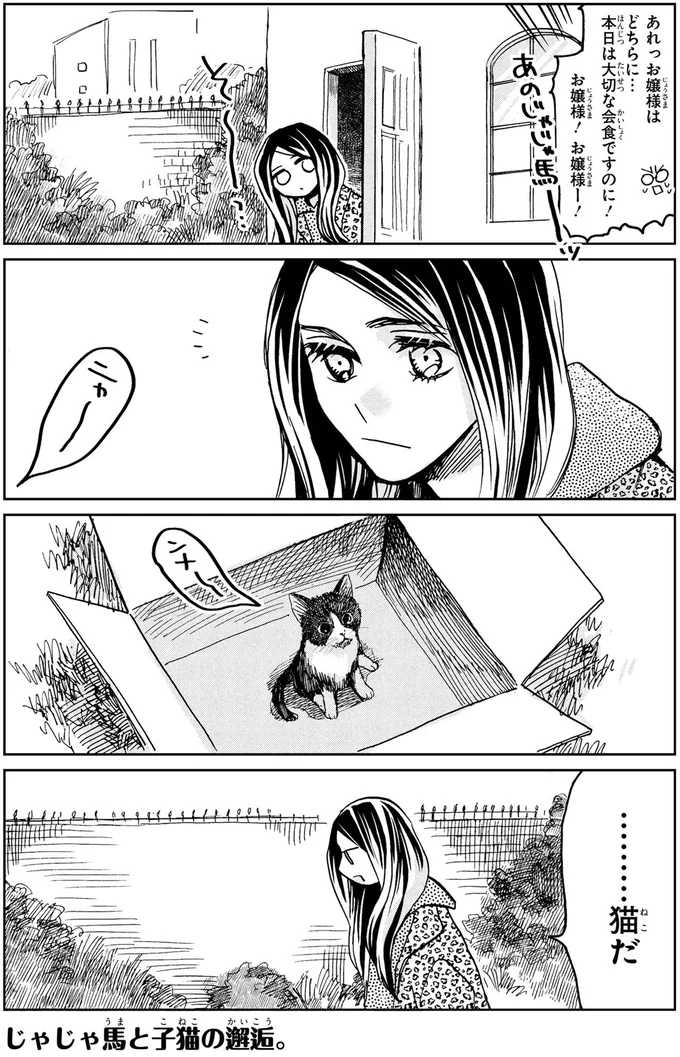…猫だ