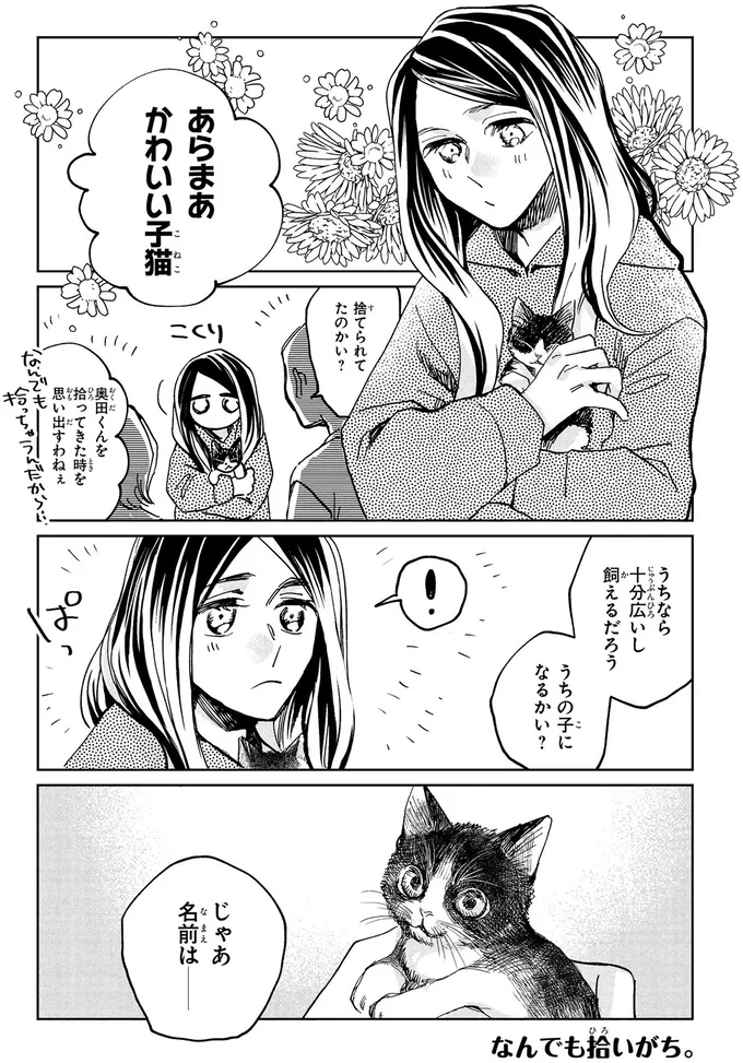 あらまあかわいい子猫