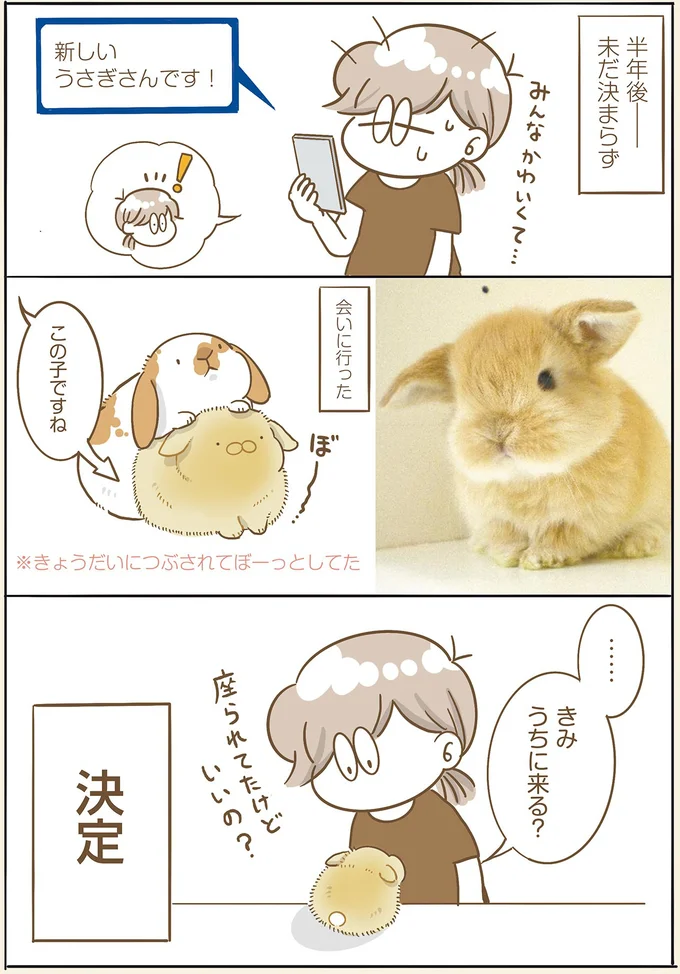 決定