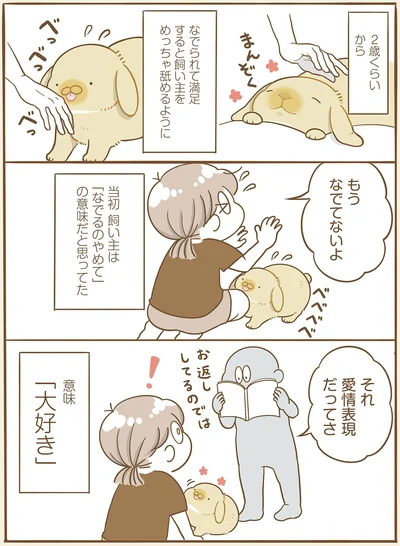 『うちのうさぎは今日ものんびり』より
