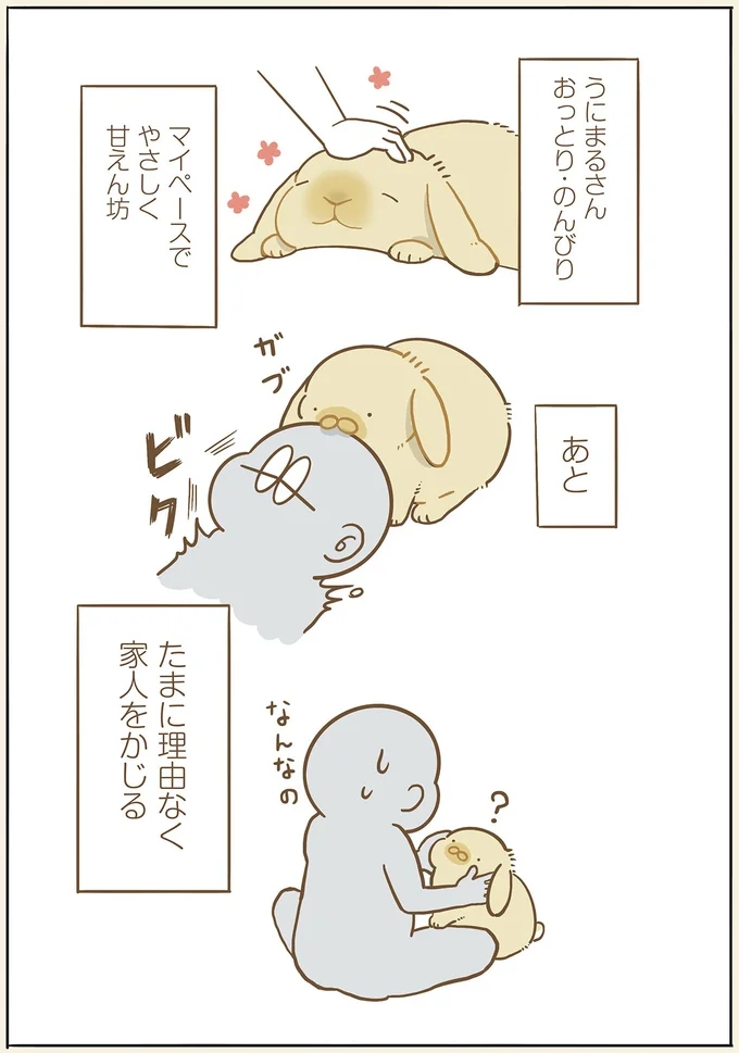 『うちのうさぎは今日ものんびり』より