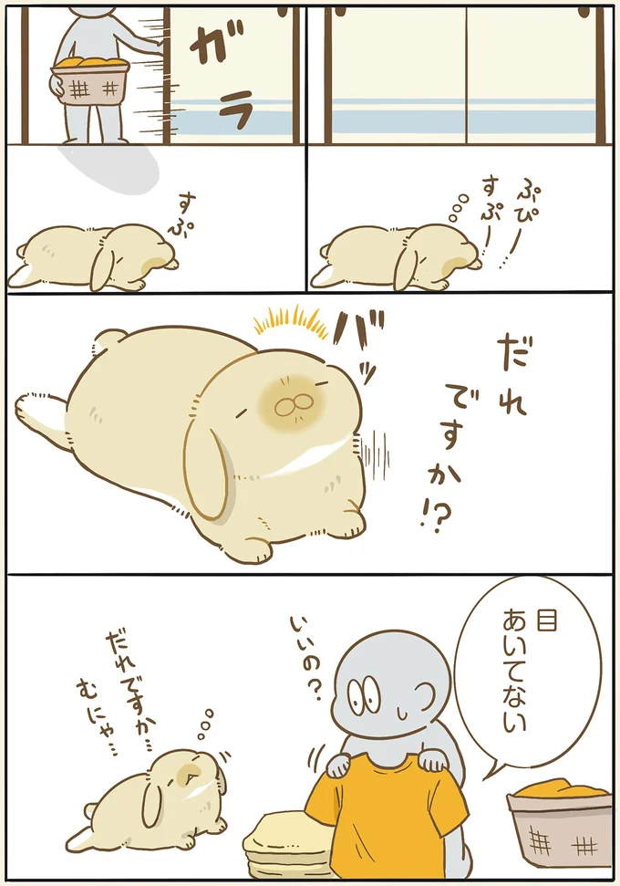 『うちのうさぎは今日ものんびり』より