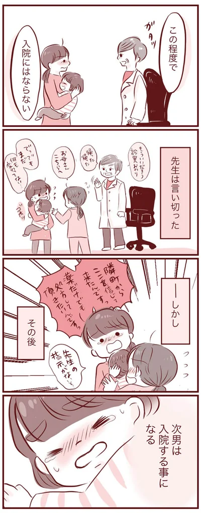 『母の勘を信じて 次男が入院するまでの記録』より