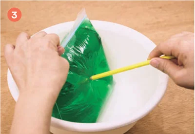 水の入った袋に色鉛筆を刺そう