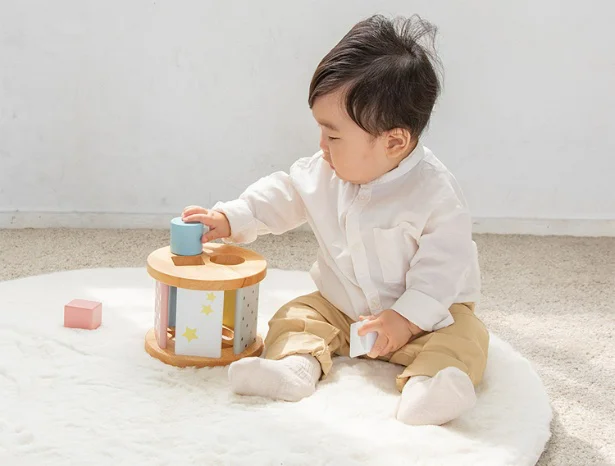 やさしい色あいのブロックで型はめ遊び「シュガーボックス」