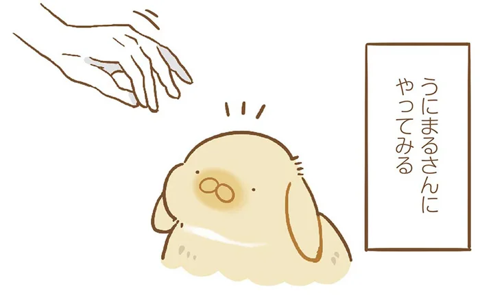 人に慣れていない動物にはNG行為！ところが、うちのうさぎは？／うちのうさぎは今日ものんびり（2）