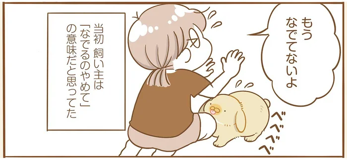 うさぎが飼い主を一生懸命にペロペロ。その理由が愛おしすぎる！／うちのうさぎは今日ものんびり（4）