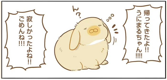 数日ぶりに帰宅した飼い主に、ペットのうさぎが予想外の反応！／うちのうさぎは今日ものんびり（5）