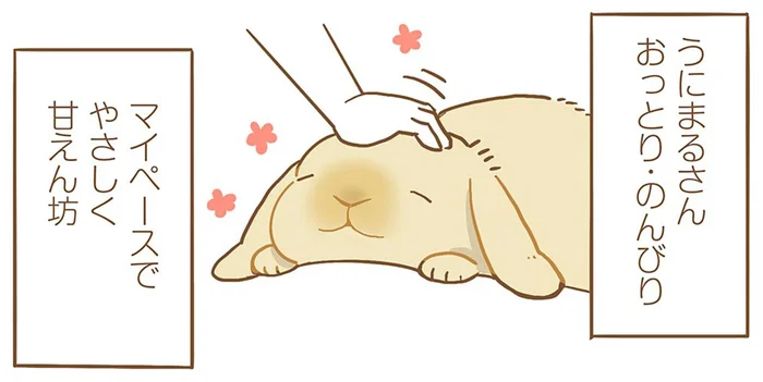 のんびりマイペース。甘ん坊なうちのうさぎの意外な一面／うちのうさぎは今日ものんびり（6）